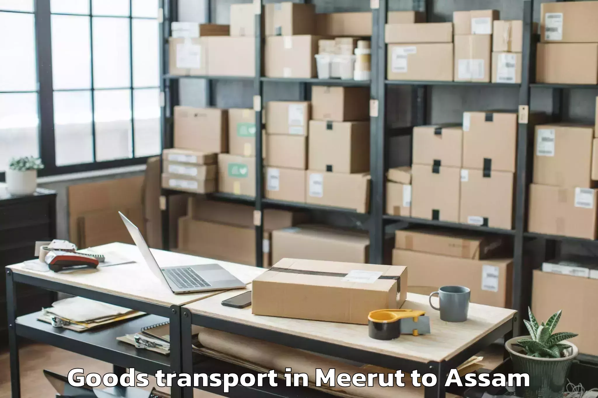 Meerut to Hailakandi Goods Transport Booking